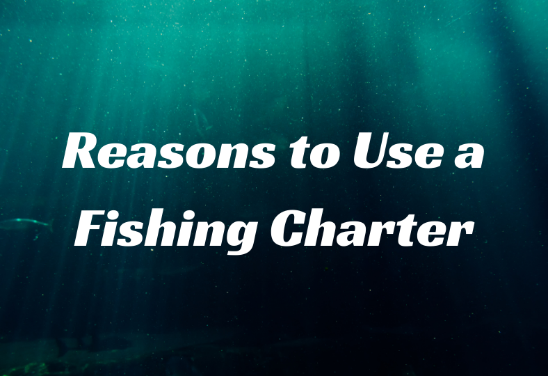 Reasons to Use a Fishing Charter