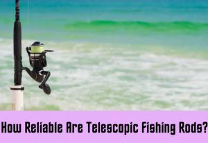How Reliable Are Telescopic Fishing Rods?