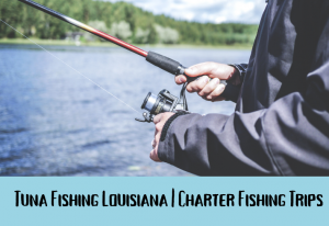 Tuna Fishing Louisiana _ Charter Fishing Trips