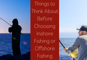Inshore or Offshore Fishing